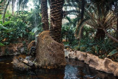 Güneşli tropikal parkta havuz