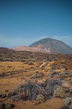 Güzel kayalık dağ çölü
