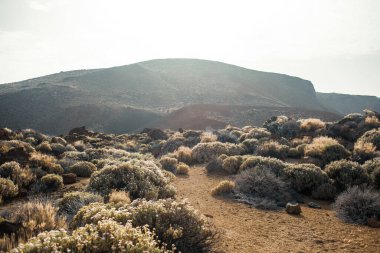 Güzel kayalık dağ çölü