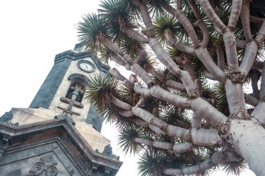 Hıristiyan Kilisesi 'nin alt görüşü