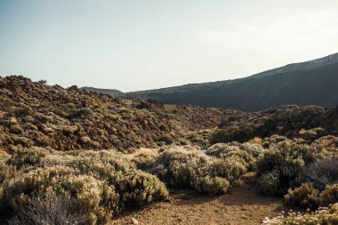 Güzel kayalık dağ çölü