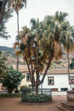 Gündüz vakti güzel Akdeniz kenti 