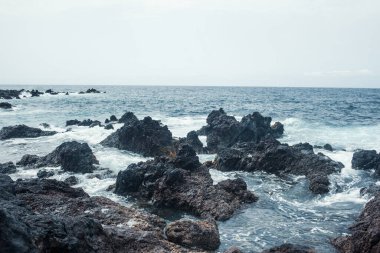 Dalgalı güzel kayalık deniz kıyıları