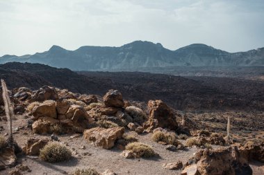 Güzel kayalık dağ çölü