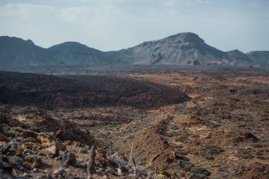 Güzel kayalık dağ çölü