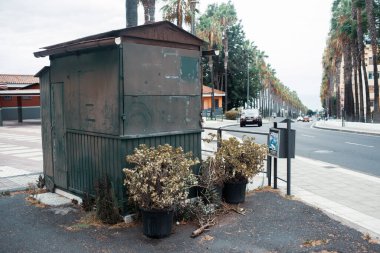 Gündüz vakti güzel Akdeniz kenti 