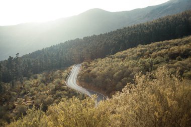Ormanın içinden geçen dağ yolu. 