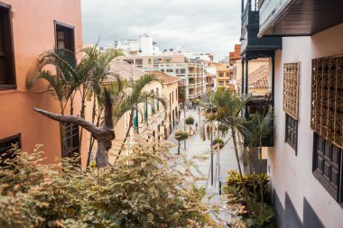 Puerto de la cruz Tenerife