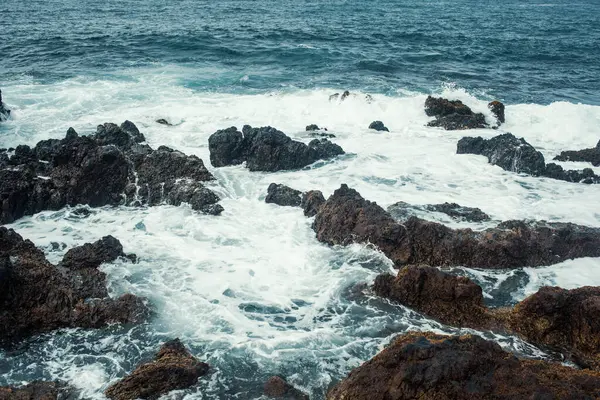 Dalgalı güzel kayalık deniz kıyıları