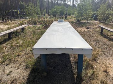 Masa ve Ukrayna 'da bir mezarlıkta iki bank.