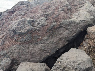 Tenerife 'nin volkanik kaya manzarası, Kanarya Adası, İspanya