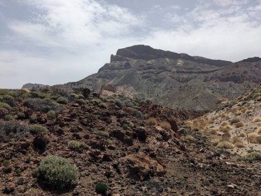 Tenerife volkanik manzarası, Kanarya Adası, İspanya