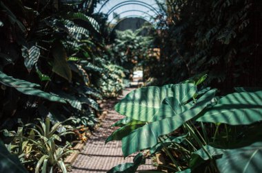 Parkın güzel manzarası