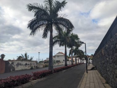Puerto de la Cruz, Tenerife, Kanarya Adası, İspanya ve Avrupa şehir caddelerinin manzarası