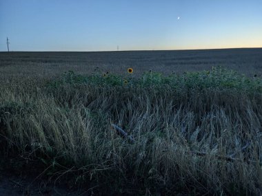 Tarlada güzel bir gün batımı