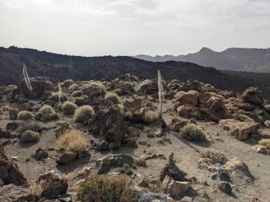 Tenerife volkanik manzarası, Kanarya Adası, İspanya