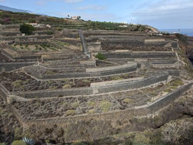 Tenerife 'nin volkanik kaya manzarası, Kanarya Adası, İspanya