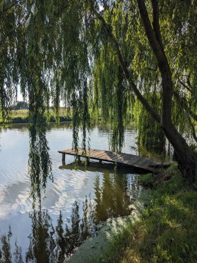 Parktaki nehrin güzel manzarası