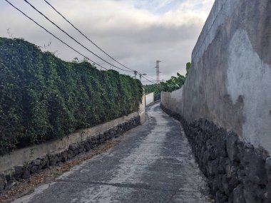 Puerto de la Cruz, Tenerife, Kanarya Adası, İspanya ve Avrupa şehir caddelerinin manzarası