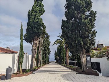 Puerto de la Cruz, Tenerife, Kanarya Adası, İspanya ve Avrupa şehir caddelerinin manzarası