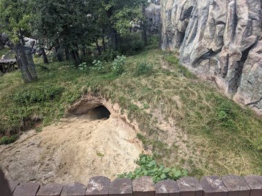 Ağaçlı güzel dağ manzarası 