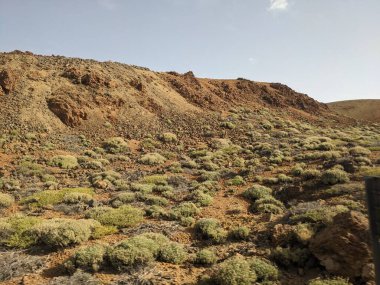 Teide Ulusal Parkı 'ndaki Voclanic Dağları, Tenerife, Kanarya Adası, İspanya, Avrupa