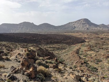 Tenerife 'nin volkanik kaya manzarası, Kanarya Adası, İspanya