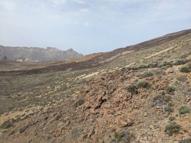 Tenerife 'nin volkanik kaya manzarası, Kanarya Adası, İspanya