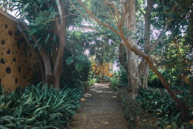 Ağaçları ve çalıları olan bir bahçe yolu.