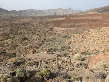 Tenerife volkanik manzarası, Kanarya Adası, İspanya