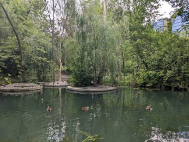 Parktaki göletin güzel manzarası