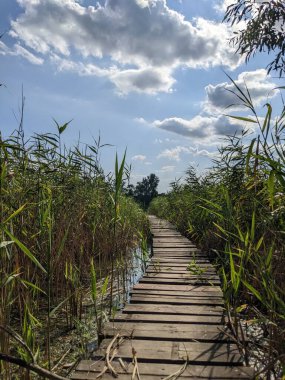 Göl kıyısındaki tahta köprünün manzarası 