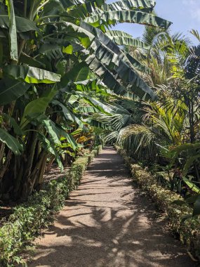 Parkın güzel manzarası 