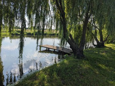 Parktaki gölün güzel manzarası