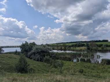 Yeşil çimenler ve ağaçlarla kaplı yaz manzarası