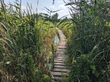 Nehrin üzerindeki tahta köprü. 