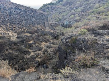 Tenerife 'nin volkanik kaya manzarası, Kanarya Adası, İspanya