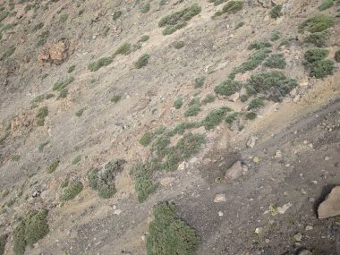 Tenerife 'nin volkanik kaya manzarası, Kanarya Adası, İspanya