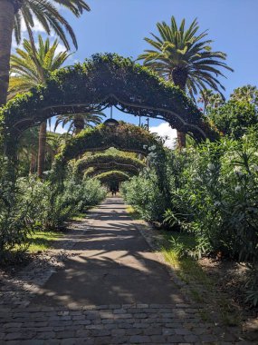 Parkın güzel manzarası