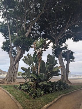 Parkın güzel manzarası