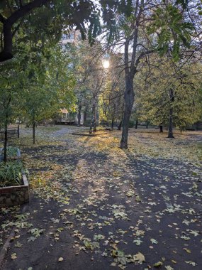 Şehrin en güzel parkı.