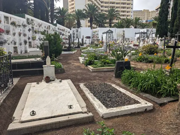 Puerto Cruz Cemetery Tenerife Canary Island Spain Europe — Stock Photo, Image