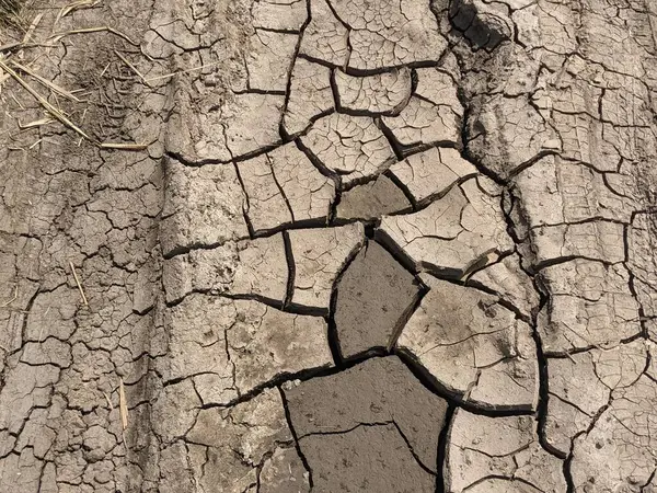 Çatlak toprak dokusu arka planı