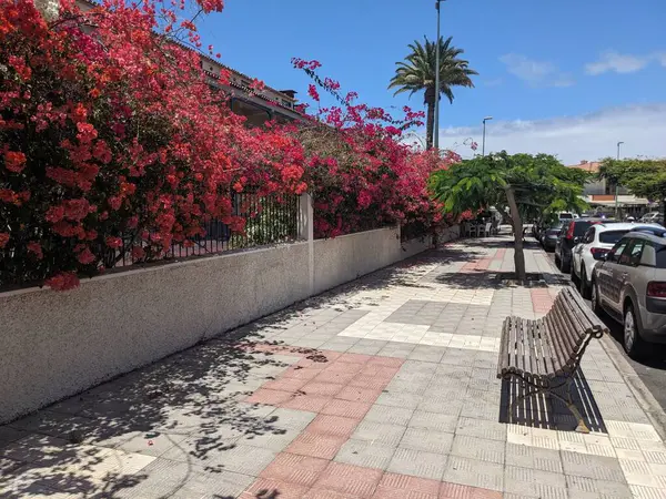 Puerto de la Cruz, Tenerife, Kanarya Adası, İspanya ve Avrupa şehir caddelerinin manzarası