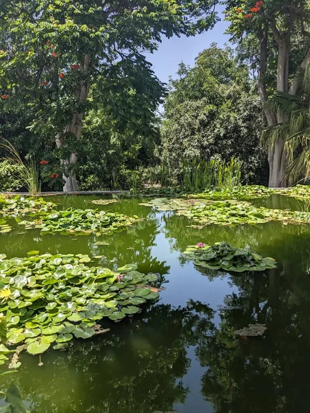 Göletli parkın güzel manzarası 