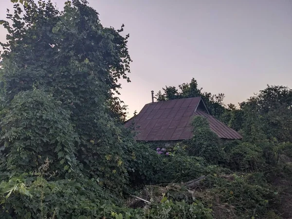Yeşil Kırsal Alanda Köy Evleri Telifsiz Stok Fotoğraflar