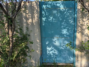 Köydeki eski evde bitkiler yetişiyor.