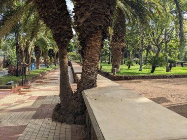 Güncel ağaçlarla parkın güzel manzarası 