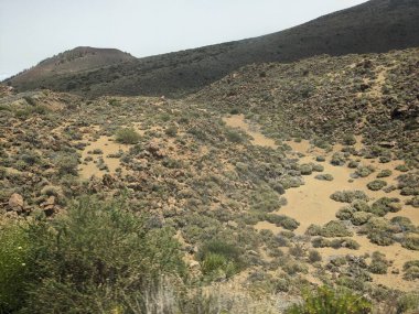 Kanarya adalarındaki Tenerife adasının manzarası