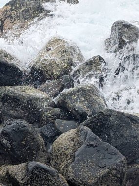 Deniz kıyısının güzel manzarası